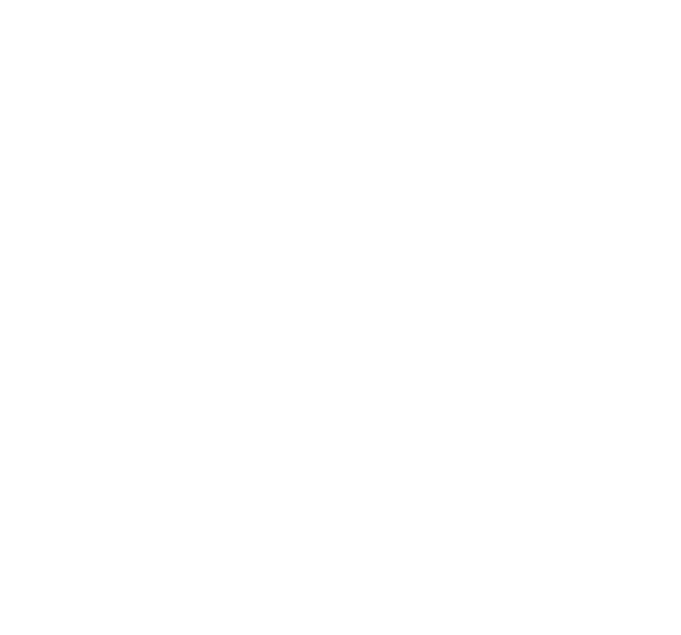 steelrock technologies logo